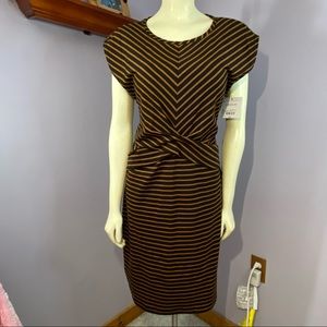 Liz Claiborne Knit Dress